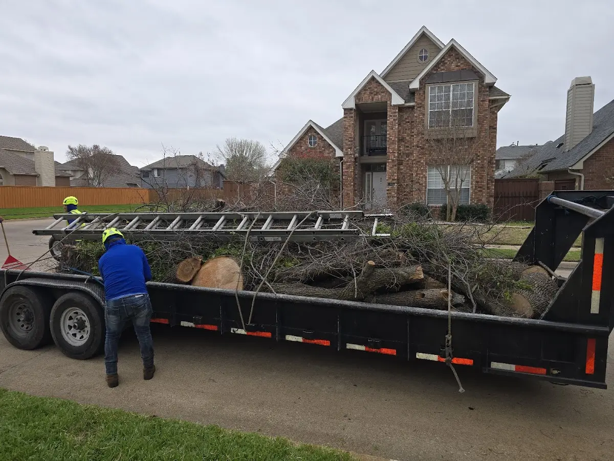 Expert Tree Fertilization with proper safety equipment in Doswell